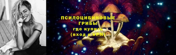 тгк Армянск