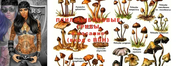 синтетический гашиш Арсеньев