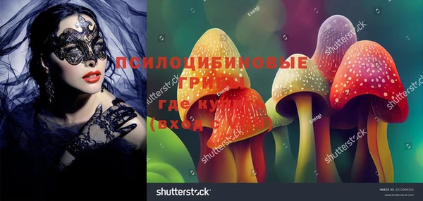 тгк Армянск