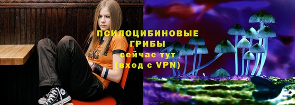 тгк Армянск